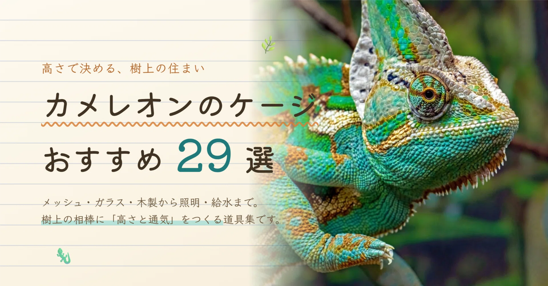 カメレオンのケージおすすめ29選｜メッシュ・ガラスの選び方と照明