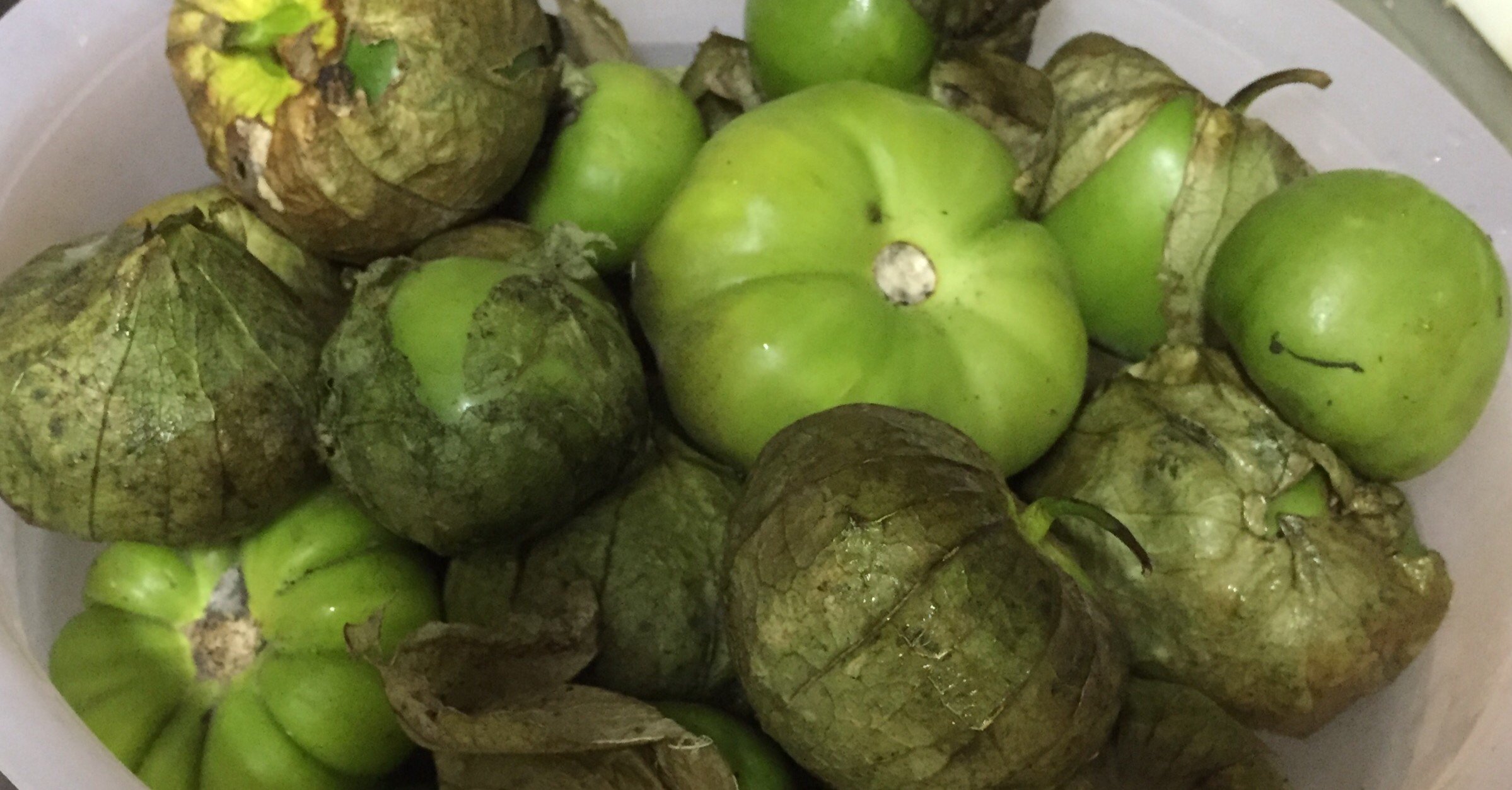 緑のトマト と呼ばれる 緑のホオズキ ココ Note