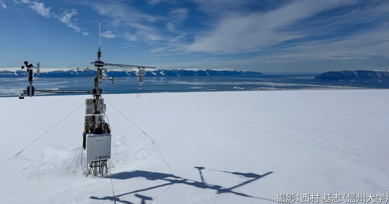 グリーンランド・カナック沿岸での現地調査2026②