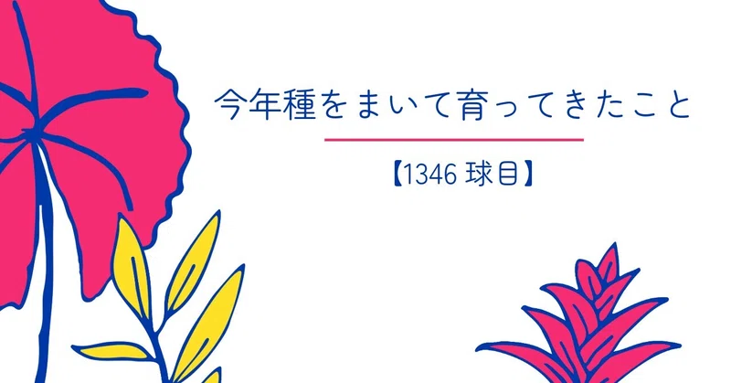 【1346球目】今年種をまいて育ってきたこと