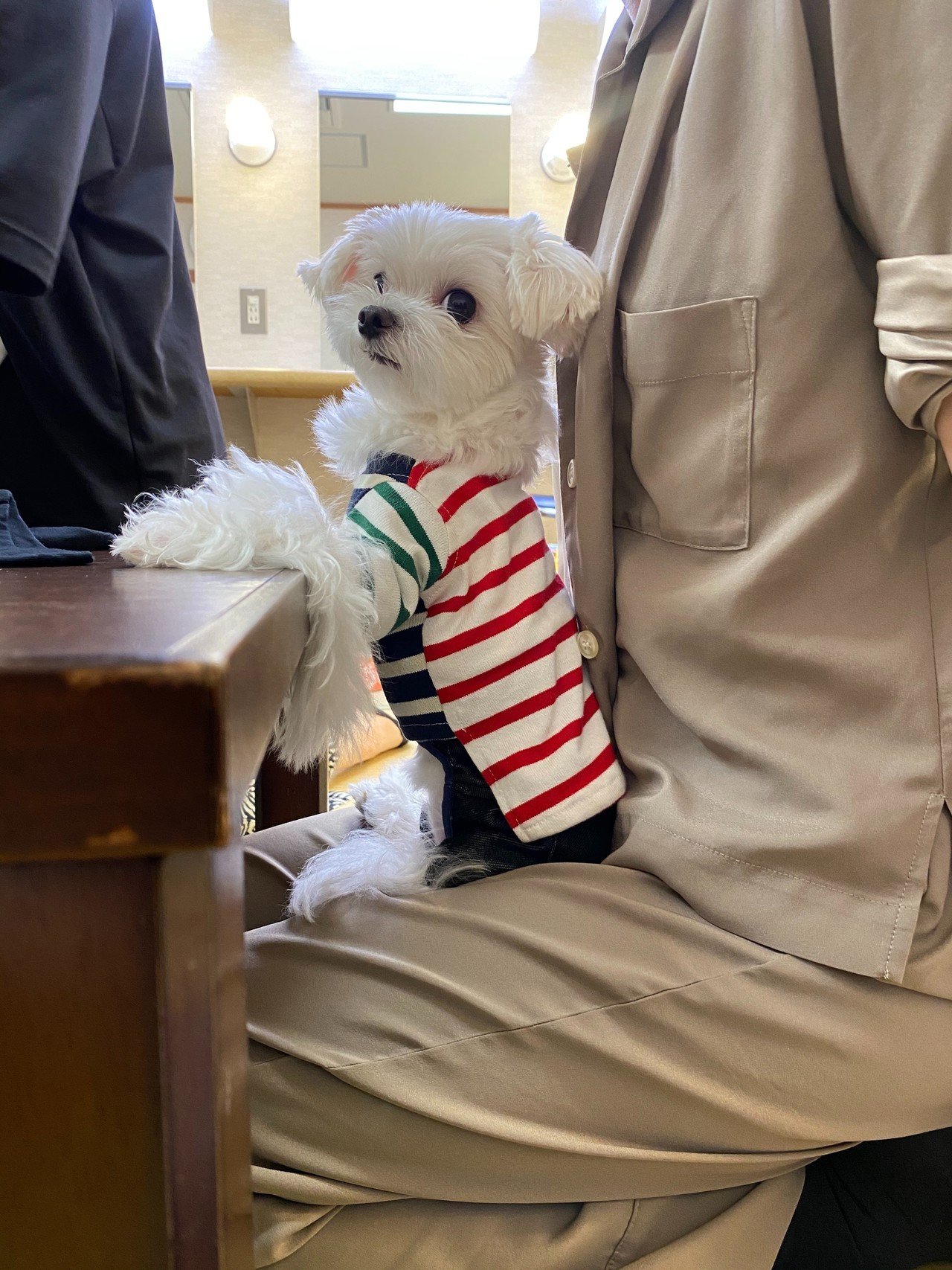 のっちです のっち NOCCHi (@nocchi.prfm_p000002) • Instagram photos and videos