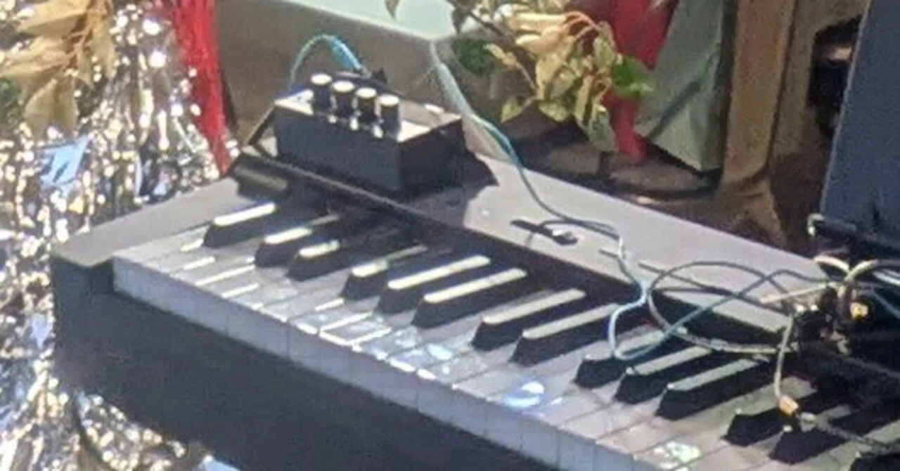 Observation Diary: A Piano Beginner Performing at a Wedding Reception ...