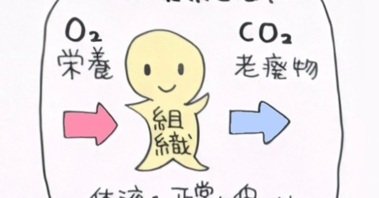 病理学講義３ 循環障害 リンパ マッサージは なぜ小顔になるのか のうと医療専門学校 Note