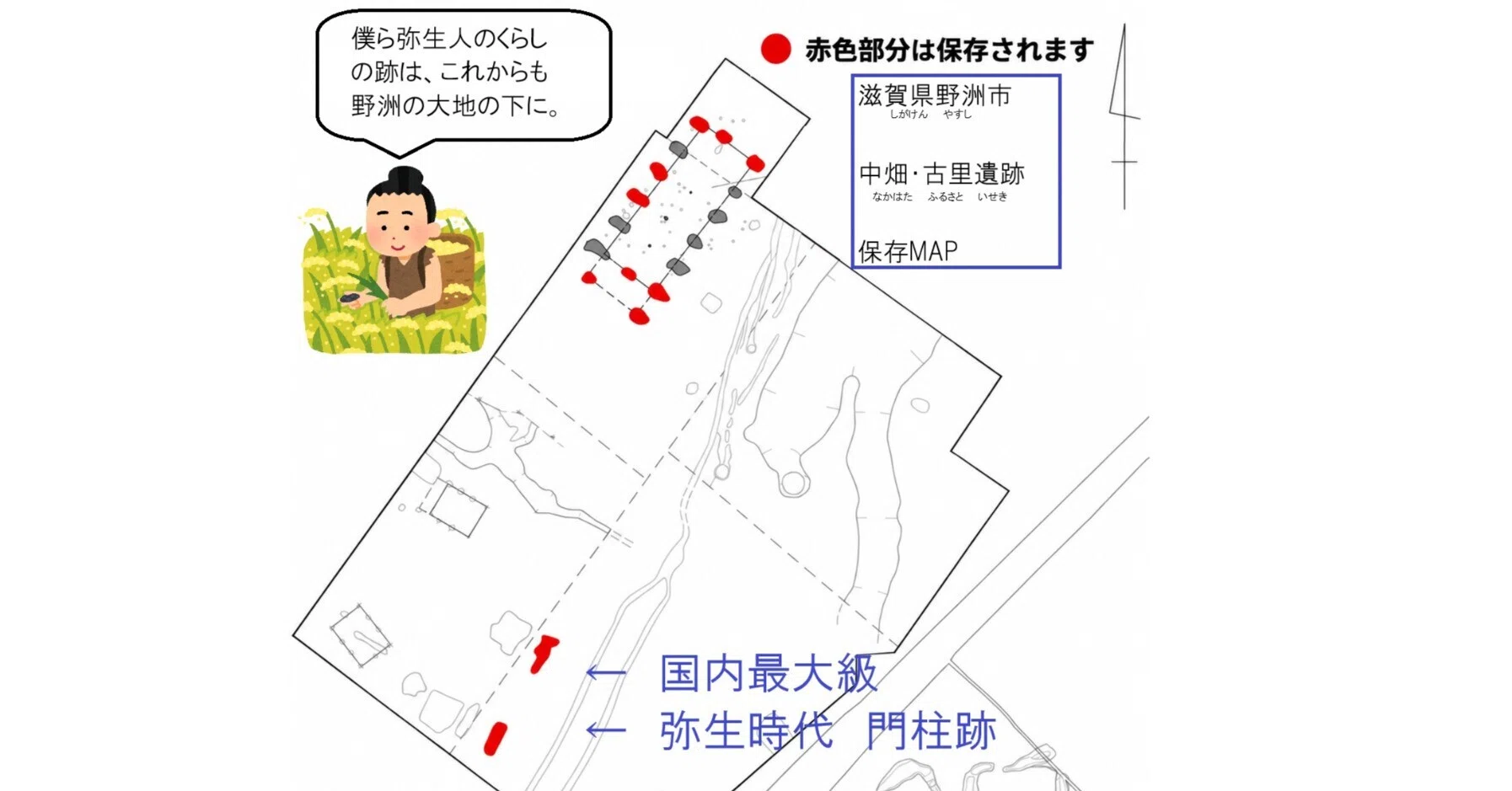 野洲・中畑古里遺跡、国内最大規模の弥生時代の門柱跡が現地で保存へ
