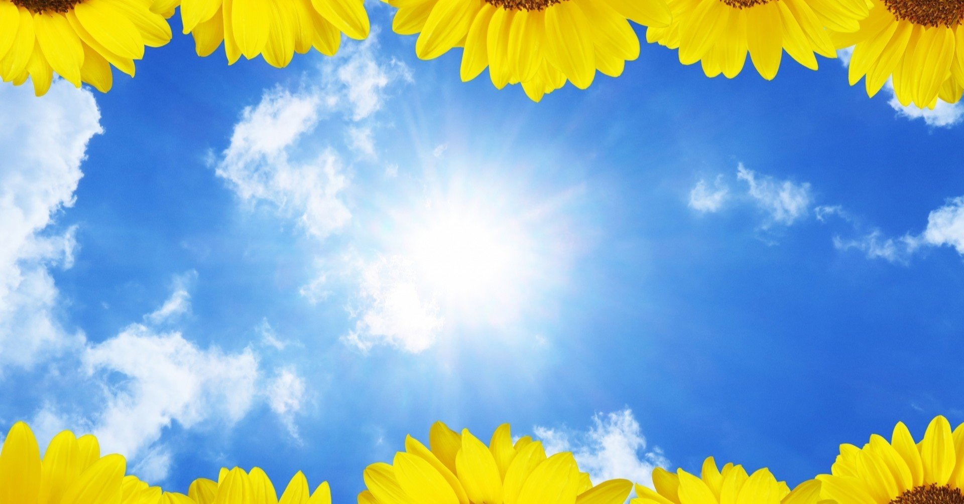 戸建住宅で失敗すると夏マジで暑いよ マンションと戸建の基本構造の違い せやま Be Enough代表 家なんかにお金をかけるな 質は担保しろ Note 戸建住宅で失敗すると夏マジで暑いよ マンションと戸建の基本構造の違い せやま Be Enough代表 家なんかにお金をかけるな 質は担保しろ Note