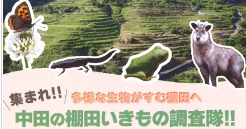 【ミズカマキリに歓喜！自然豊かな「中田の棚田」でいきもの調査！】海南高校海南校舎