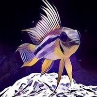 アピスト飼育にあたって Ap Farm K Note