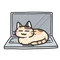 ネコのヒゲ