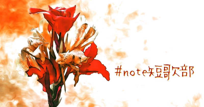 短歌 8月3日 誕生花はカンナ Note短歌部 御子柴 流歌 Note