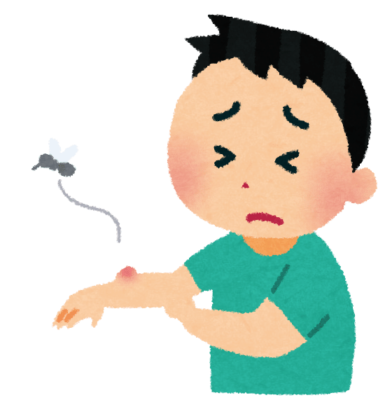 英語表現 蚊に刺された って英語で言える Kiyoshi 英語コンサル Note