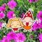 きえこ/絵本作家/キャラクターくるり/南米チリ料理教室