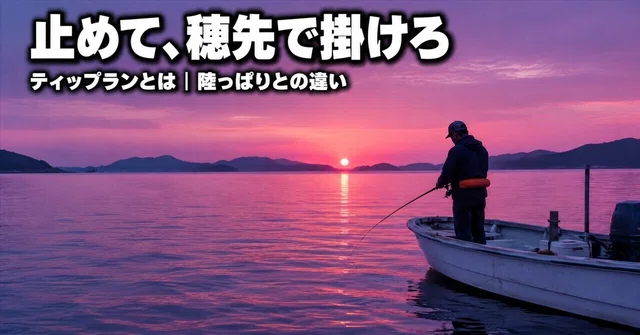 ティップランとは｜陸っぱりのエギングとの違いは竿・重さ・穂先