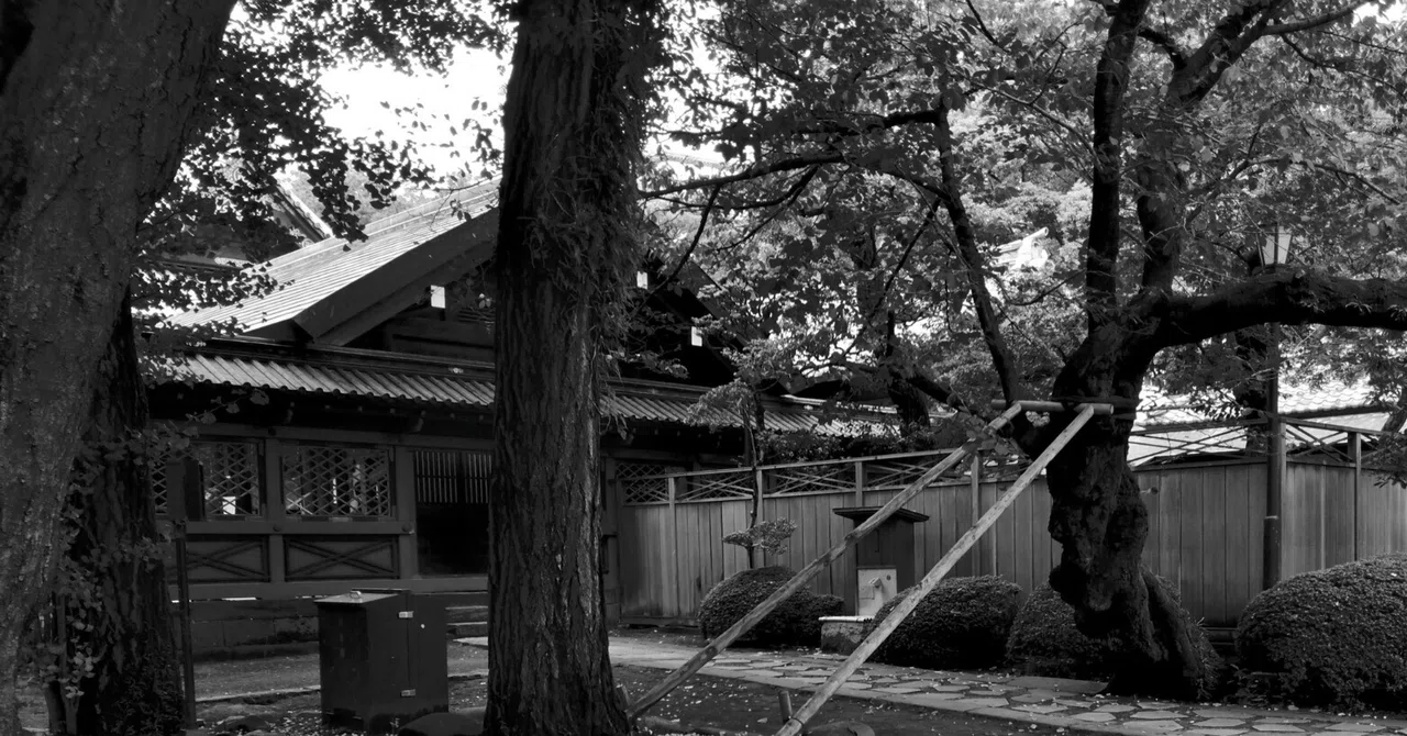 A story about taking a photo walk with a Rakuten mini｜Nero_hiro