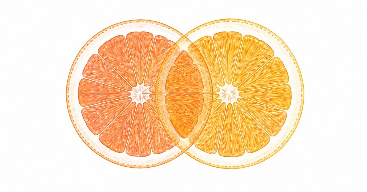 The Genealogy of Citrus｜くちなわ