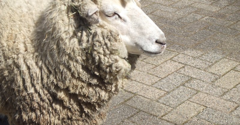 宇佐江みつこ の新着タグ記事一覧 Note つくる つながる とどける