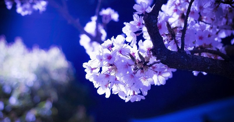 5 10分で読める青空文庫 梶井 基次郎著 桜の樹の下には 神崎翼 Note