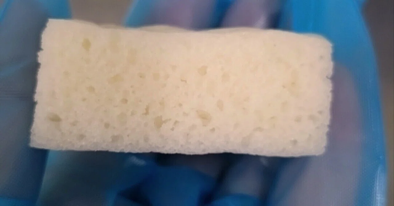 Egg-free Rice Flour Steamed Bread Recipe for Mass Cooking Using a Combi ...