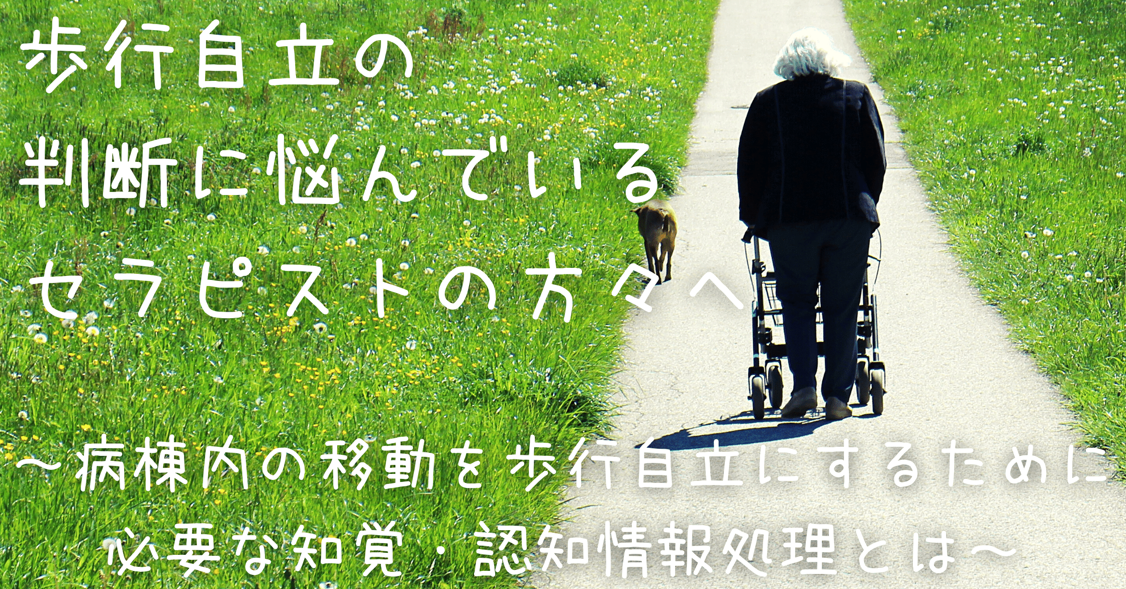 歩行自立の判断に悩んでいるセラピストの方々へ 病棟内の移動を歩行自立にするために必要な知覚 認知情報処理とは 脳外ブログ 臨床baton Note