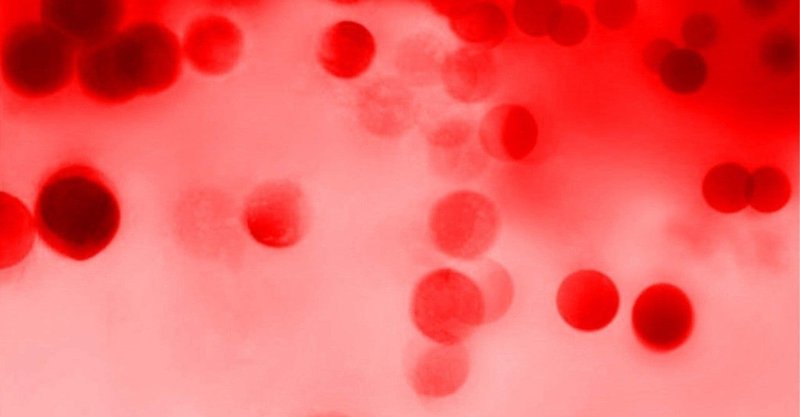 コロナ感染の警察官は濃厚接触を虚偽説明 林田力 note