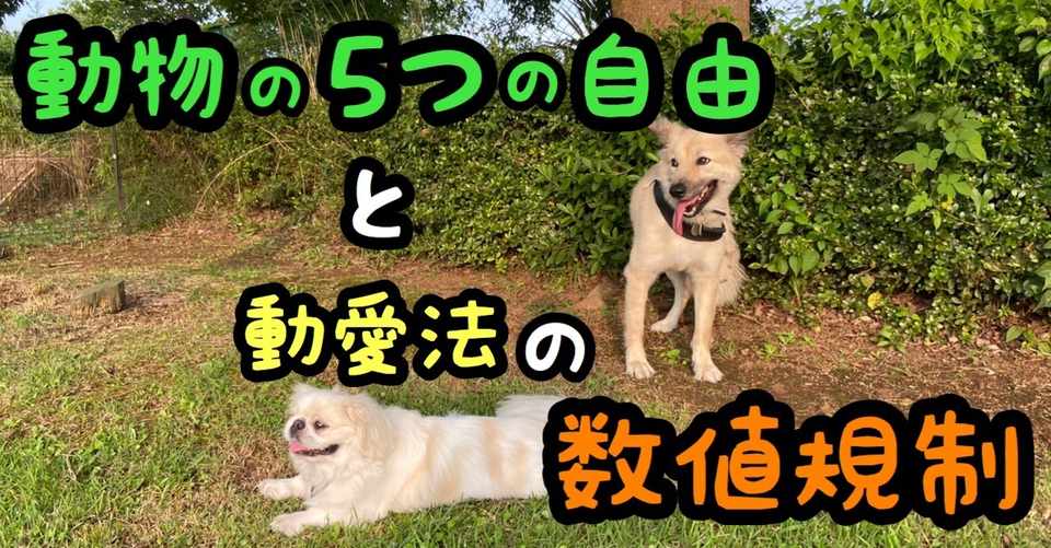動物の5つの自由と動物愛護法の数値規制 ドッグライフサポーター 獅子パパ Note