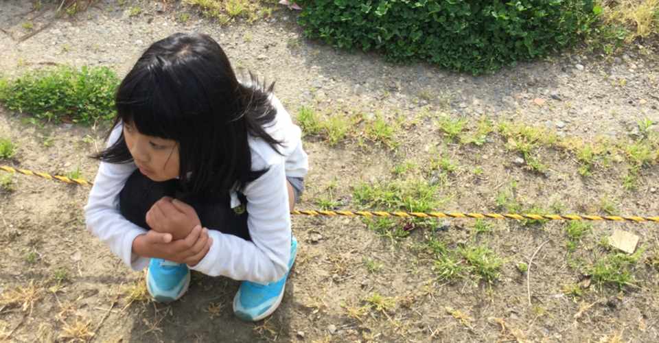 しゃがんで座れますか 発達ステップアップ レッスン 長尾まさ子 Note
