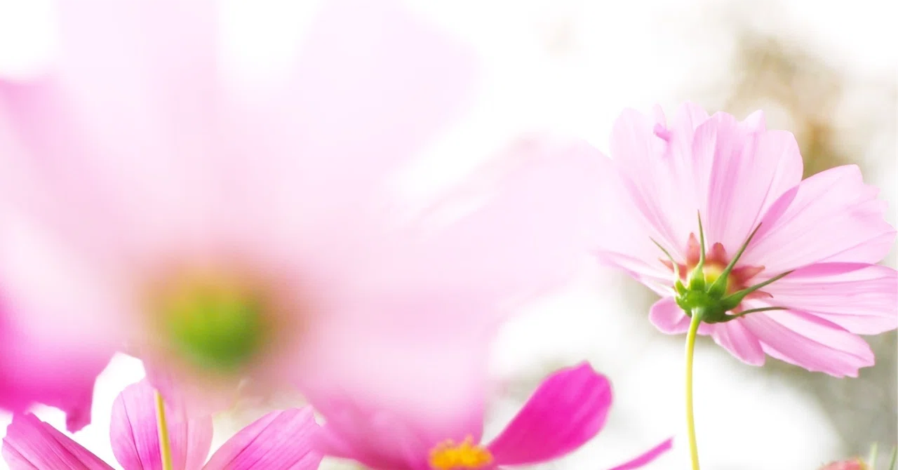 3 study habits you want to start now, while you still think 'middle ...