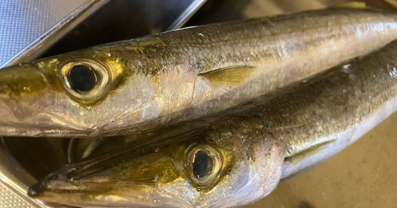 名前の由来がイマイチ想像しにくい カマスという魚の香草焼き