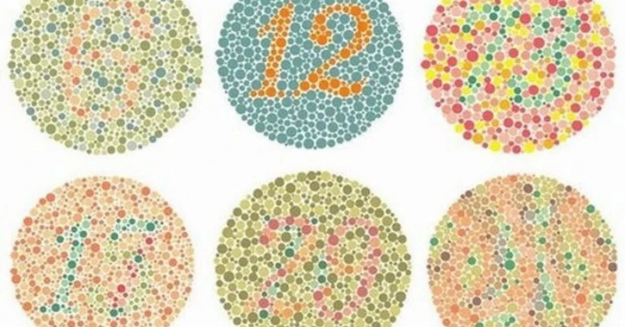 Muted Colors Example My Physical Defects: Color Blindness Edition|やぶさめ!