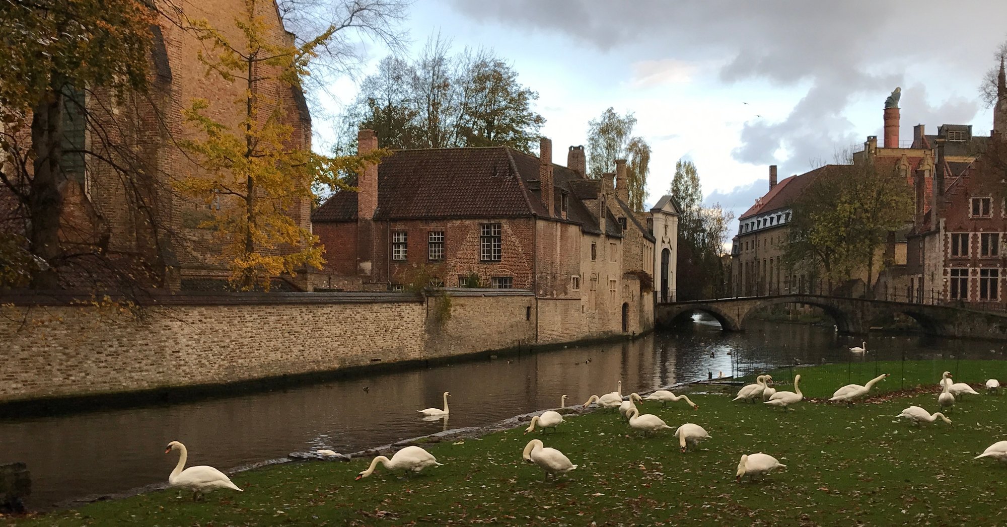 白鳥の湖 愛の湖 Innewater ベルギー ブルージュ 1 村山里美 アラカンdeパリ パリ在住 58歳から単身パリへ 終わりの人生の始め方 Note 白鳥の湖 愛の湖 Innewater ベルギー ブルージュ 1 村山里美 アラカンdeパリ パリ在住 58歳から単身パリへ 終わりの人生の始め方 Note