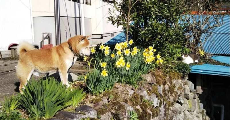 距離をとるほど、近くなったら