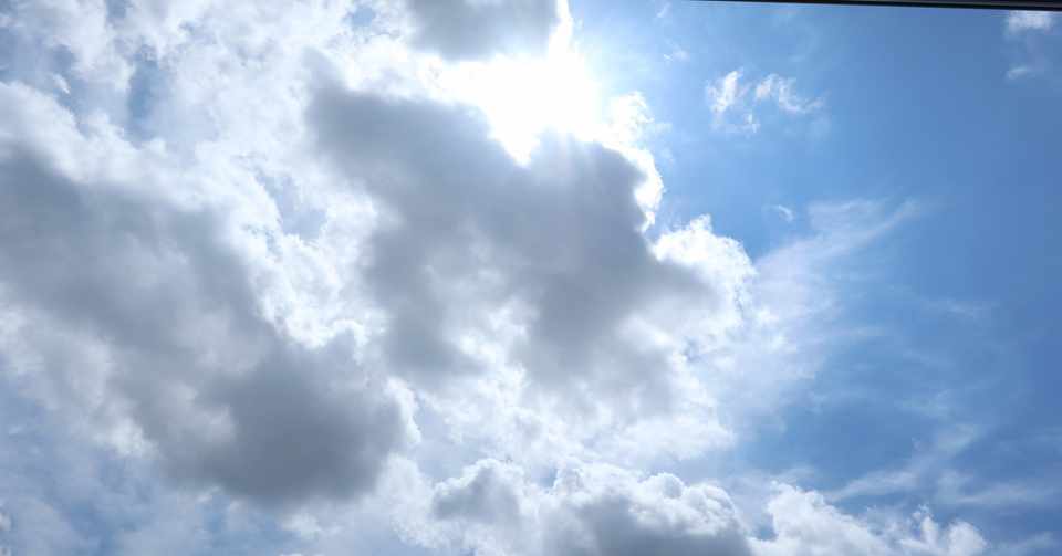 これから家出を試みる毒親育ちの方へ 干物紐乃 Note