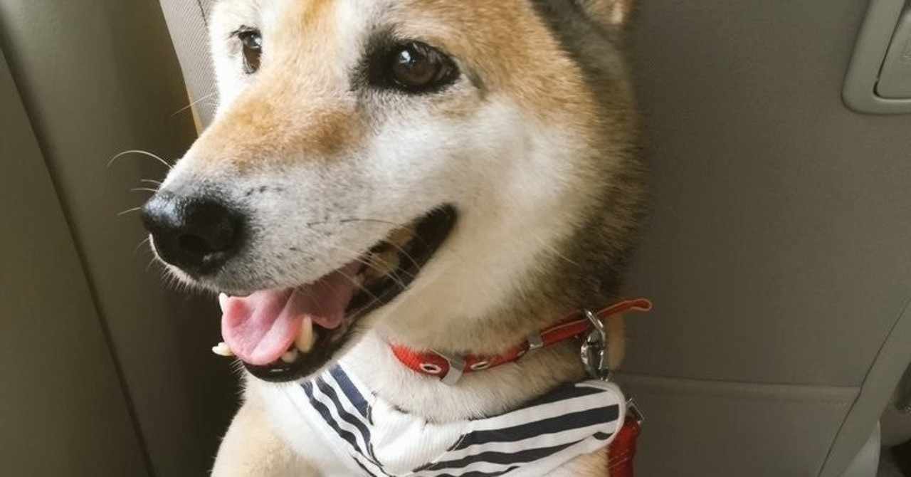 犬バカ の新着タグ記事一覧 Note つくる つながる とどける