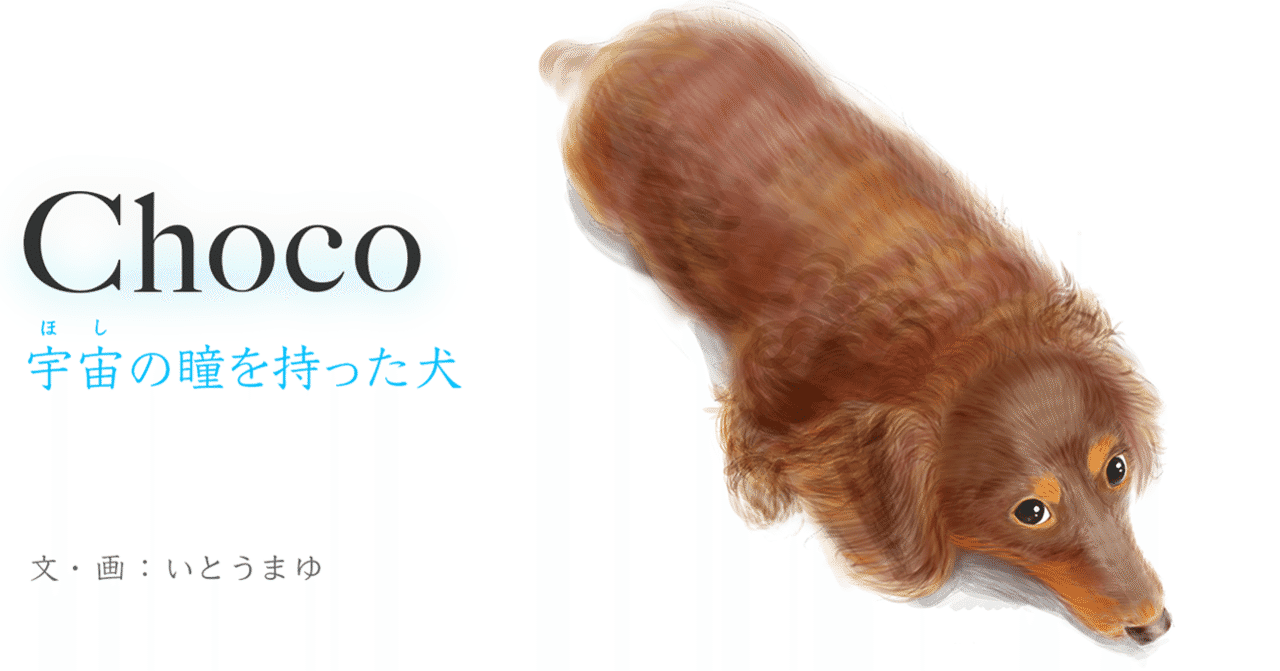 動物と会話 の新着タグ記事一覧 Note つくる つながる とどける