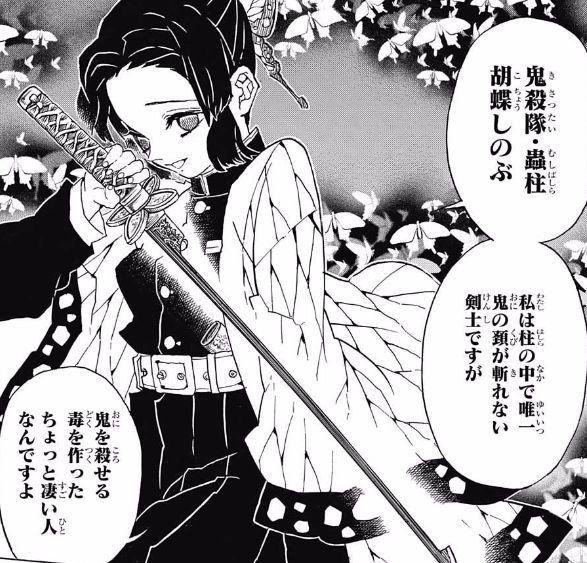 鬼滅の刃考察 鬼は病を 鬼殺隊は十二支をモチーフにしている 暇な空白 Kiyoteru Mizuhara Note 鬼滅の刃考察 鬼は病を 鬼殺隊は十二支をモチーフにしている 暇な空白 Kiyoteru Mizuhara Note
