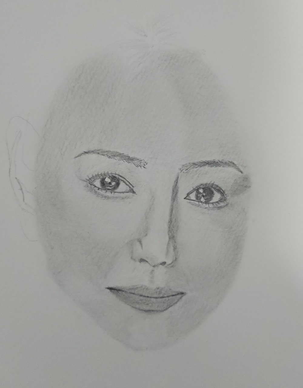 鉛筆画　オーダー画面 値下げしました！オリジナルのペットの鉛筆画 💕 動物画 オーダ