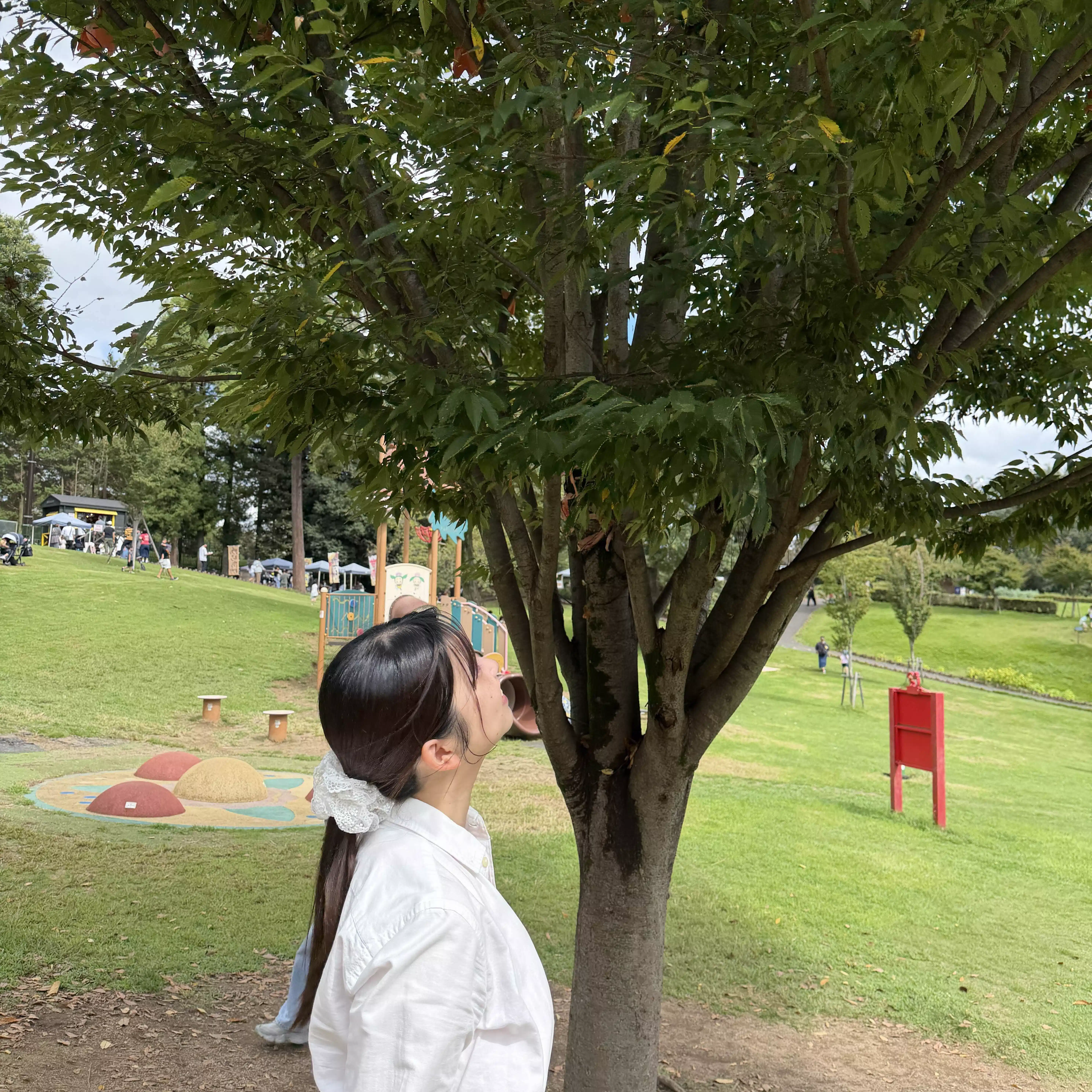 あやか