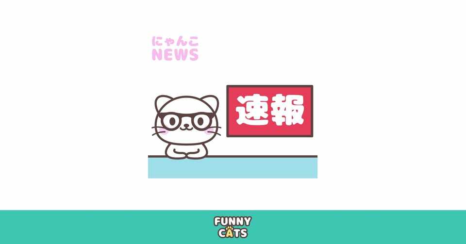 Note見出し用イラスト 速報を伝える猫 コーヘーズ Note