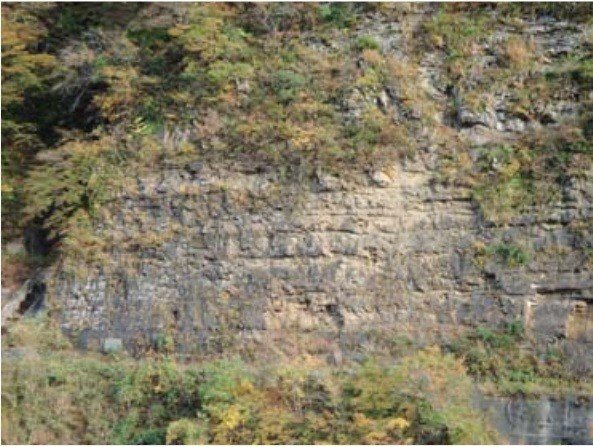桑島化石壁