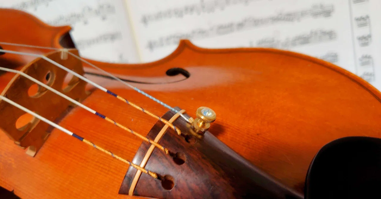 How Was the Violin Born? The “Miraculous Shape” Perfected in Italy 500 ...