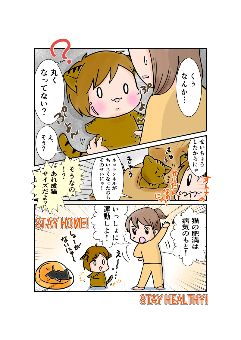 1連載スパダリにゃんこ第22話体重_004