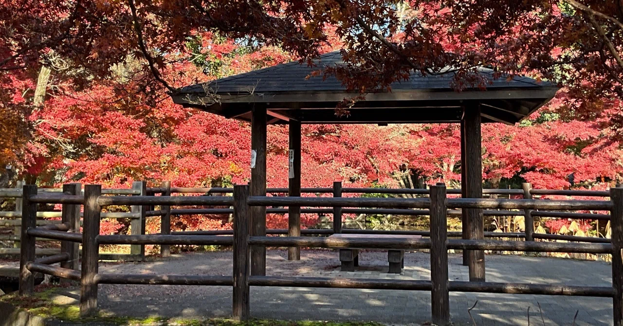 京都居候叢書超訳解釈『徒然草』第百二十段（原作：吉田兼好）｜藤井
