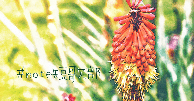 短歌 8月4日 誕生花は赤熊百合 Note短歌部 御子柴 流歌 Note