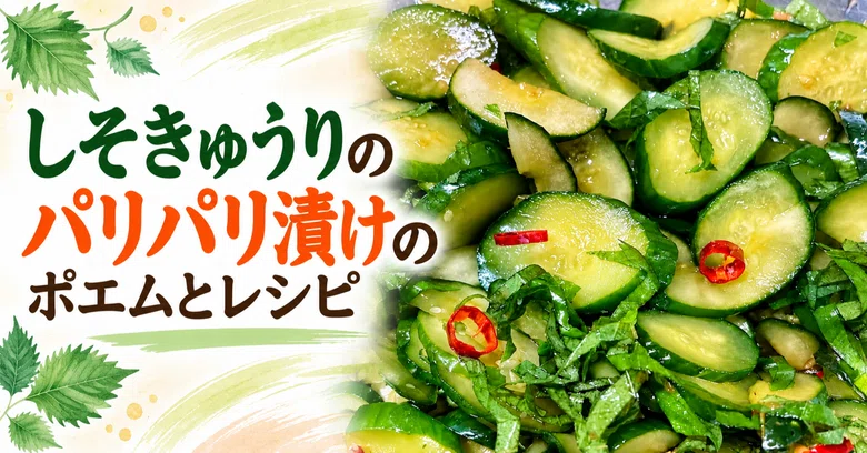 [Side Dish Poem and Recipe] Crispy Shiso Cucumber Pickles｜ふみよ