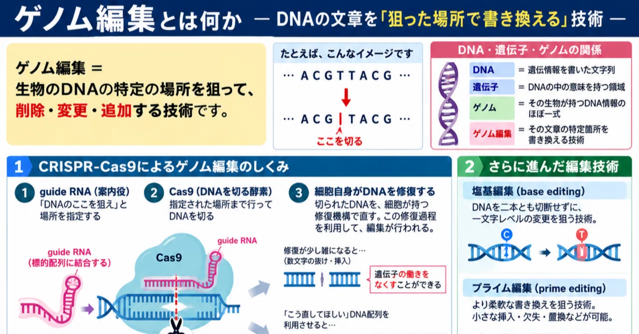 What is Genome Editing? A Technology to 