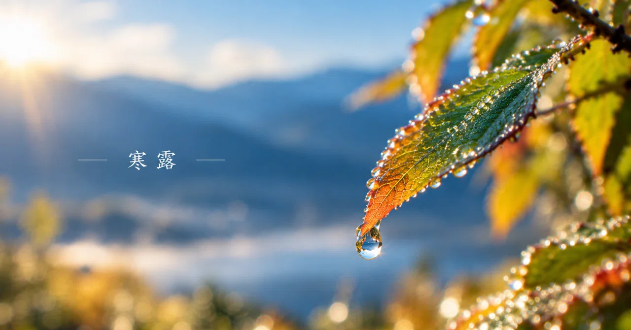 【Feeling the Seasons☆Coaching Tales】Episode 1: Kanro (Cold Dew)｜さんた