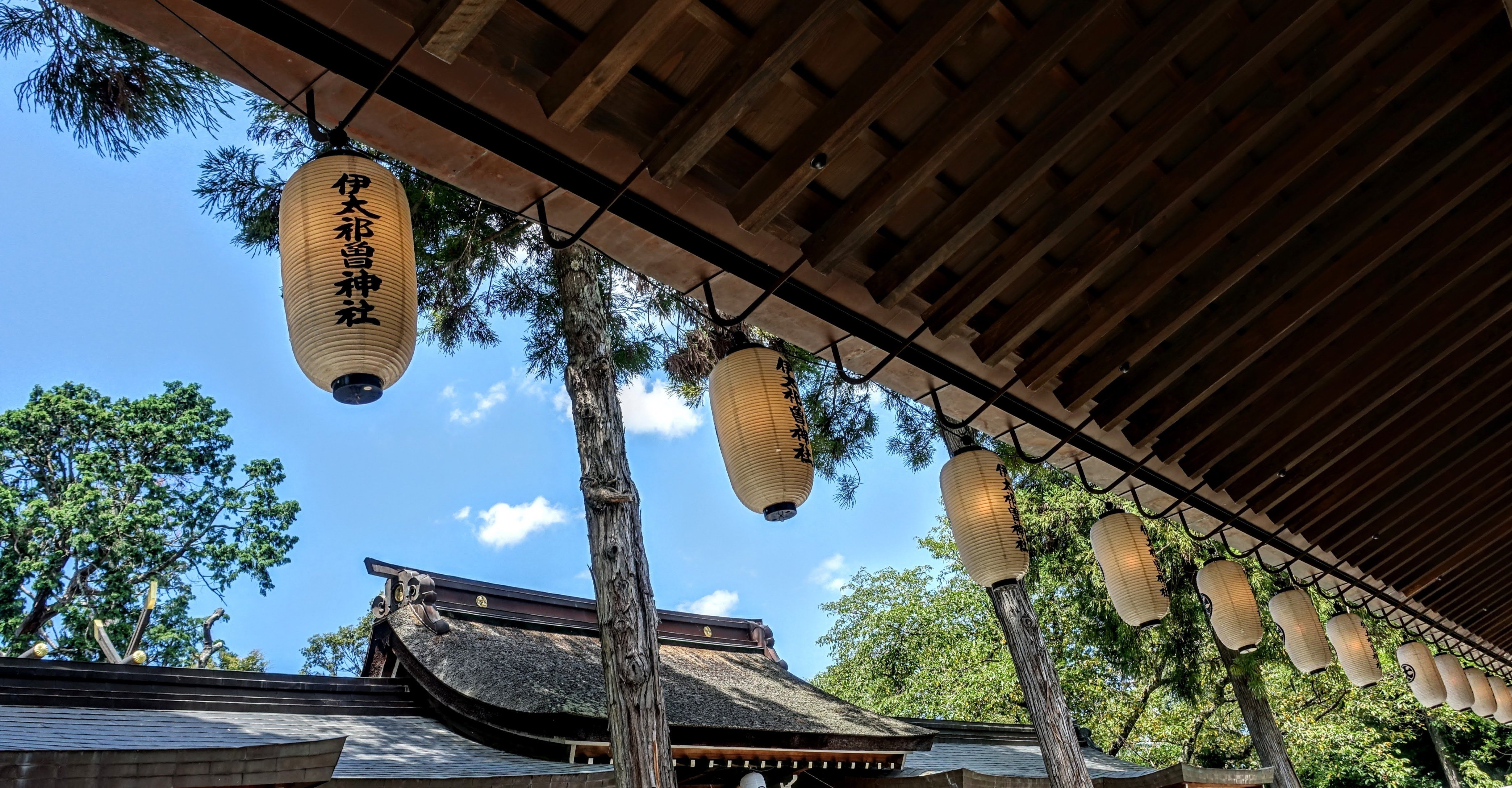 【中古】神々の風景 天神さまの杜から／曽根文省／神麓社 伊太祁曽神社・紀の国の木の神様｜flow Essence 美年～mitoshi～