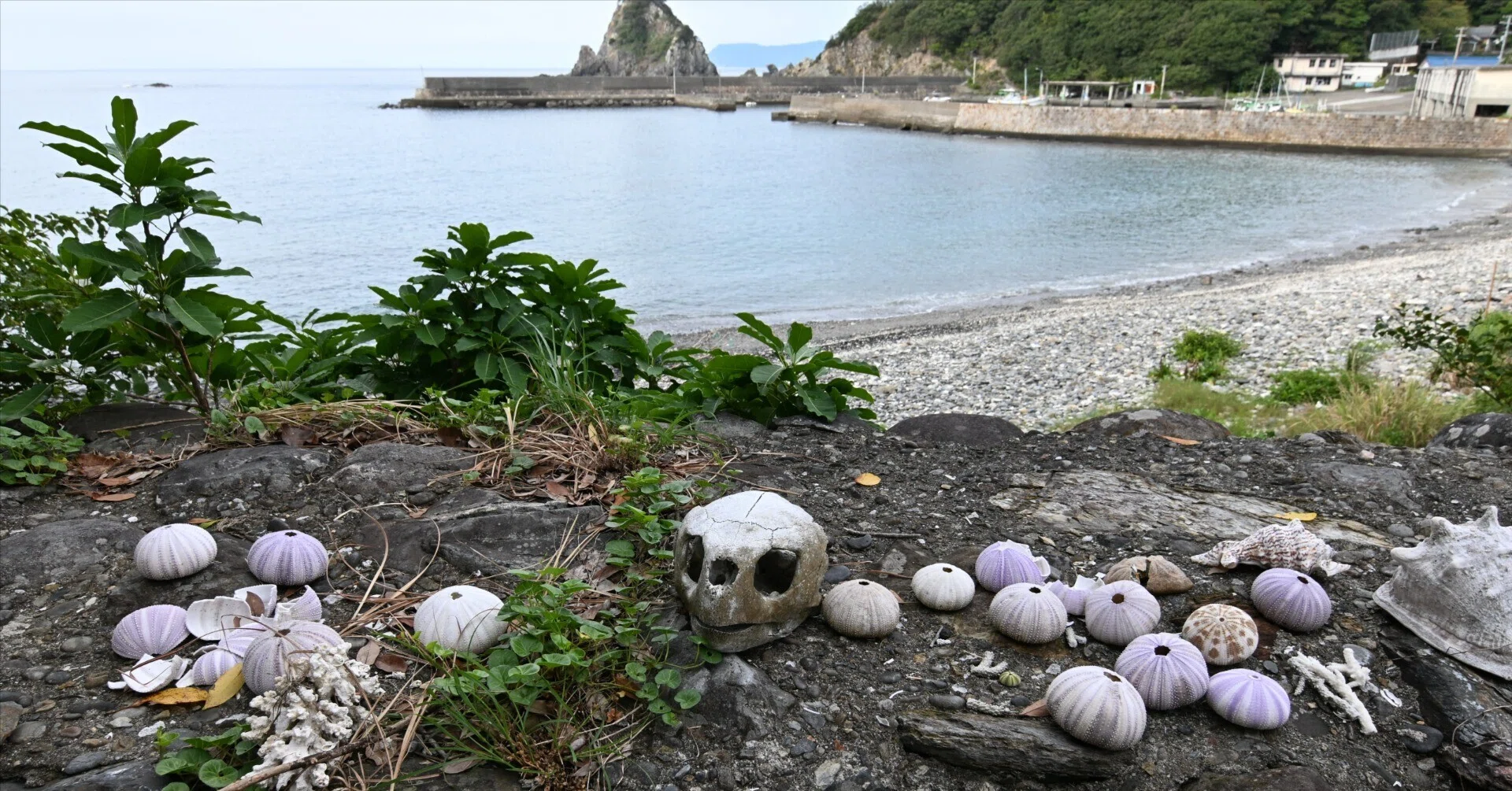 Travel Notes: 20260926-0927 [Kochi Prefecture]｜山ネズミ