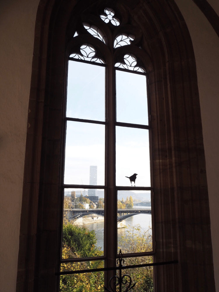 バーゼル大聖堂にやってきました💛窓の小鳥さん💛窓に描かれています💛センスの良さがうかがえます💛💛