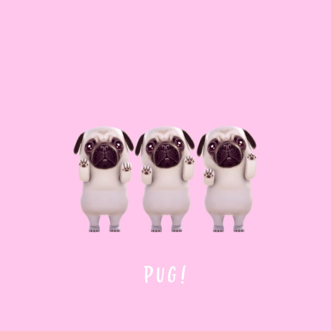 Q Tbn 3aand9gcrlbo5a6uppxisxsvgx6qt8ql9 Bs23fsegtg Usqp Cau