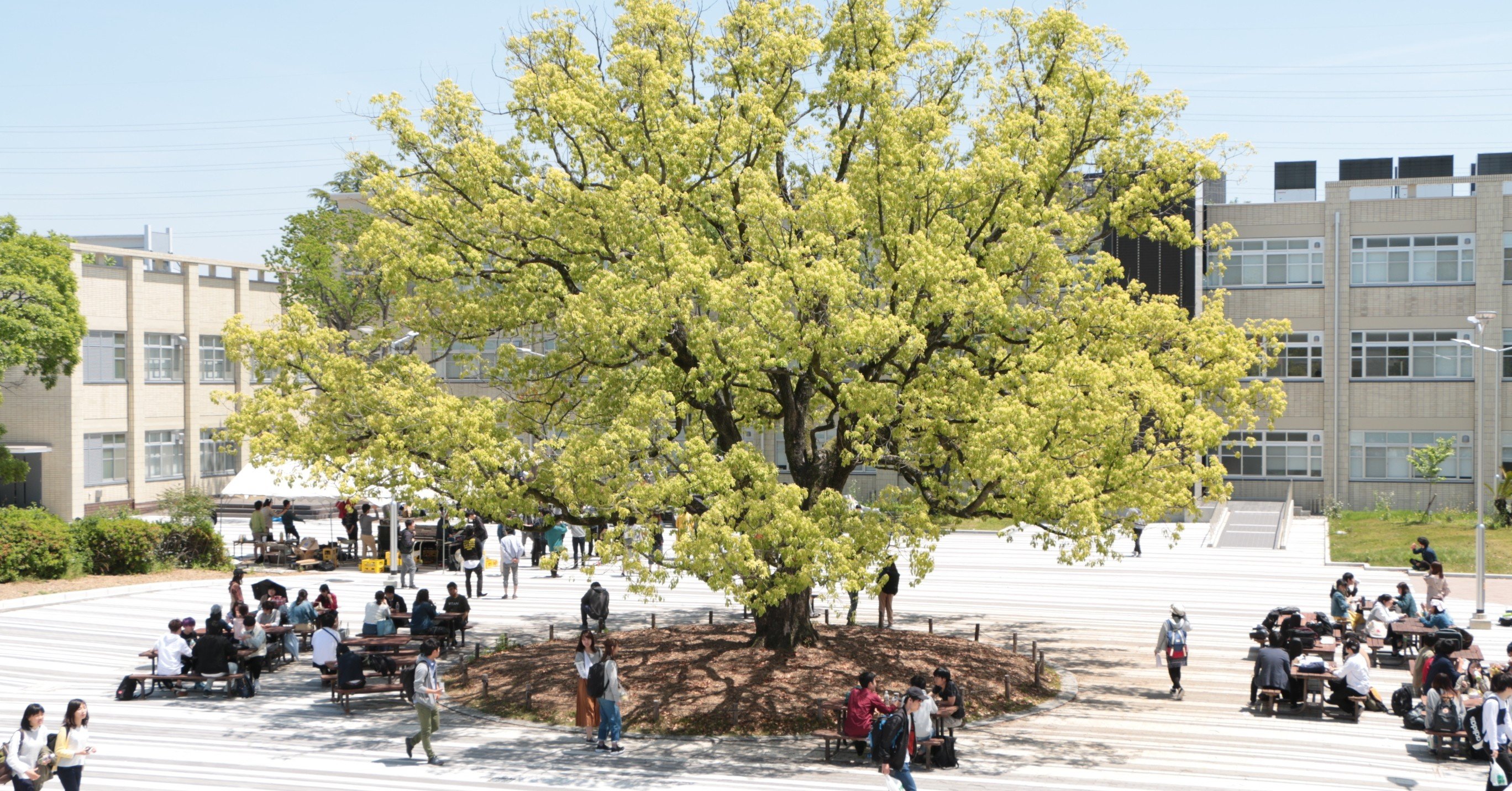 キャンパス 大学 オープン 大阪 府立